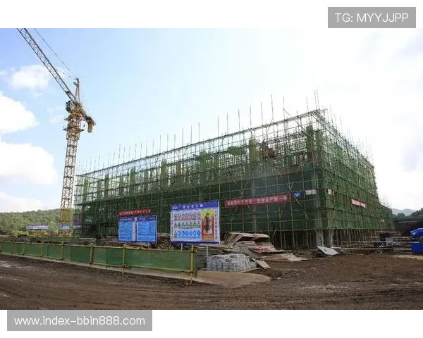 bbin波音信用网的用户评价与口碑分析报告