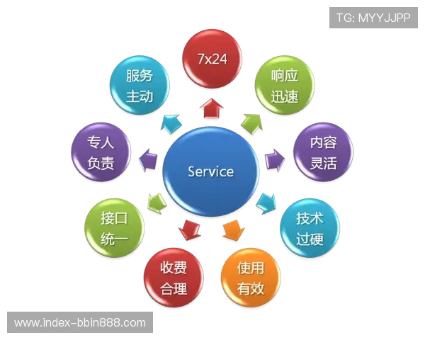 bbin国际平台客户服务与技术支持体系全面介绍与用户指南