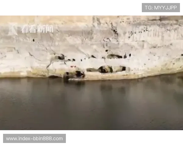 土耳其对美国比赛中极端天气对球场条件和比赛安全的影响及应对措施 土耳其对美国比赛中极端天气对球场条件和比赛安全的影响及应对措施